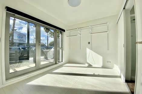 Photo of property in 18 Ngaoho Place, Parnell, Auckland, 1010