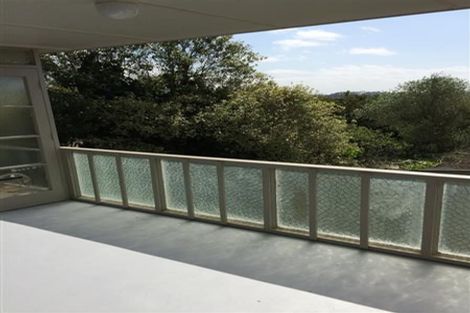 Photo of property in 14 Counsel Terrace, Mount Albert, Auckland, 1025
