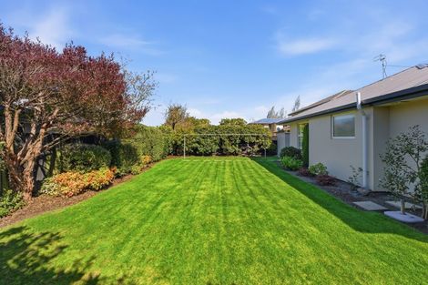 Photo of property in 29 Saracen Avenue, Northwood, Christchurch, 8051