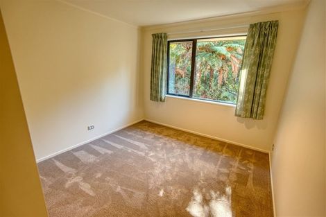 Photo of property in 15 Sanctuary Place, Kumara Junction, Hokitika, 7882