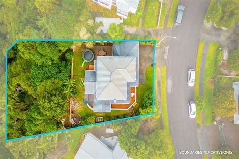 Photo of property in 60 Rhinevale Close, Henderson, Auckland, 0612