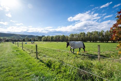 Photo of property in 25 Malcolm Road, Poukawa, Hastings, 4178