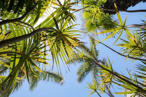 Photo of property in 87b Muricata Avenue, Mount Maunganui, 3116