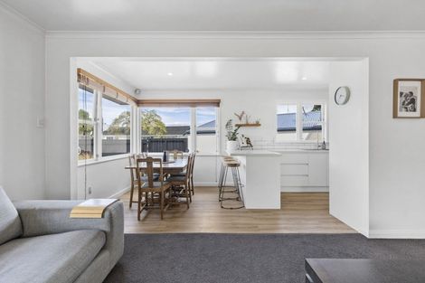 Photo of property in 282 Tremaine Avenue, Takaro, Palmerston North, 4412