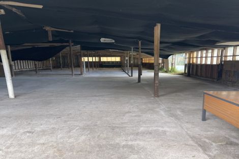 Photo of property in 386 Henderson Valley Road, Henderson Valley, Auckland, 0612