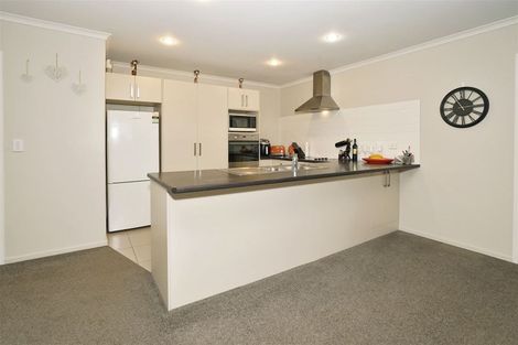 Photo of property in 14 Rigg Place, Flagstaff, Hamilton, 3210