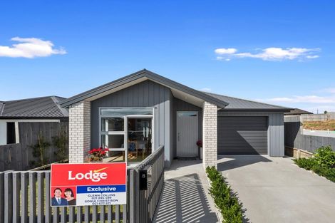 Photo of property in 8 Whakapono Avenue, Baverstock, Hamilton, 3200