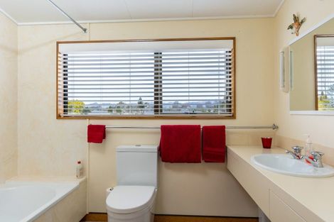 Photo of property in 15 Brook Street, Renwick, 7204