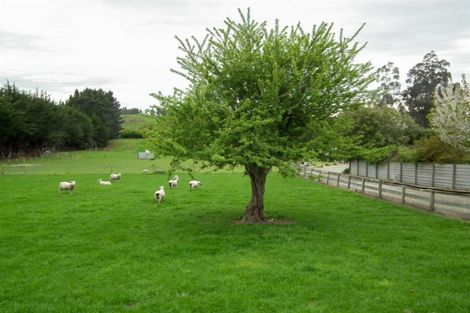 Photo of property in 23-31 Oban Street, Holmes Hill, Oamaru, 9401