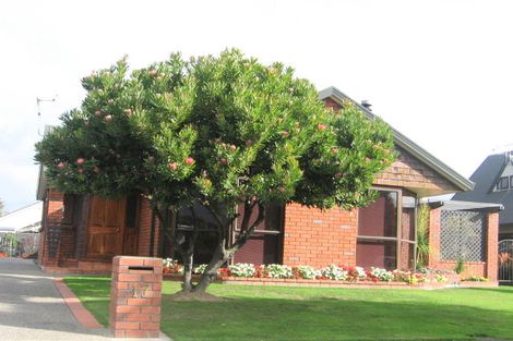 Photo of property in 17 Hanmer Place, Highbury, Palmerston North, 4412