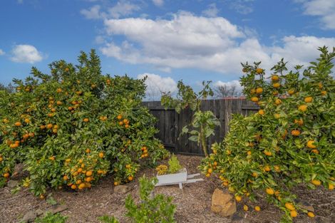 Photo of property in 32 Mackay Street, Waihi, 3610