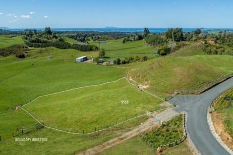 Photo of property in 956b Whakamarama Road, Whakamarama, 3179