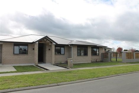 Photo of property in 2 Beamish Street, Frimley, Hastings, 4120