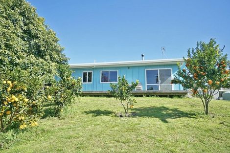 Photo of property in 67 Queen Street, Te Puke, 3119