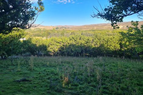 Photo of property in 219 Manuherikia Road, Springvale, Alexandra, 9393