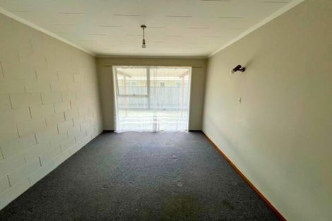 Photo of property in 45 Albert Street, Palmerston North, 4414
