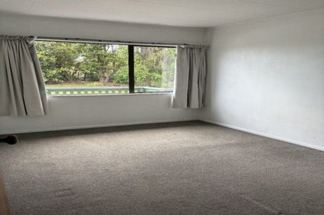 Photo of property in 369 Port Albert Road, Wellsford, 0972