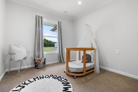 Photo of property in 56 Waverley Road, Gordonton, Hamilton, 3287