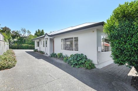 Photo of property in 19a Guthrie Road, Havelock North, 4130