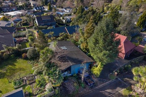 Photo of property in 56a Moncur Drive, Springfield, Rotorua, 3015