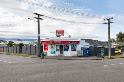 Photo of property in 2 Middlesex Street, Levin, 5510