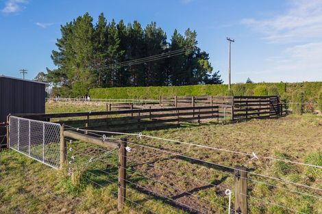 Photo of property in 8 Minnie Street, Waimate, 7980