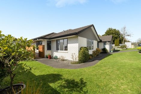 Photo of property in 47 Hollister Lane, Ohauiti, Tauranga, 3112