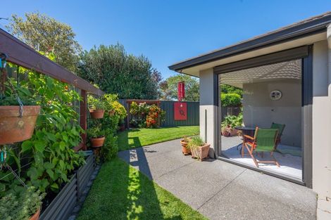 Photo of property in 5/31 Te Aute Road, Havelock North, 4130