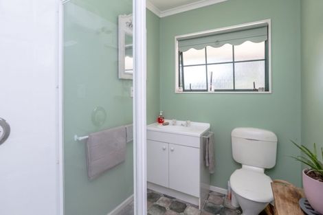 Photo of property in 61 Dublin Street, Martinborough, 5711