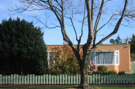 Photo of property in 20a Mckenzie Street, Levin, 5510