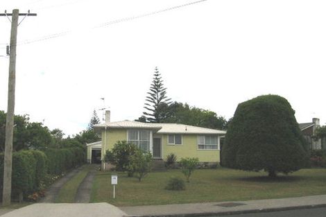 Photo of property in 34 Walters Road, Mount Wellington, Auckland, 1062