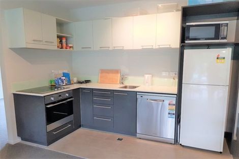 Photo of property in Detroit Apartments, 212/181 Tasman Street, Mount Cook, Wellington, 6021