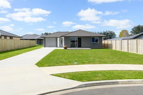 Photo of property in 35 Oldfield Lane, Marton, 4710