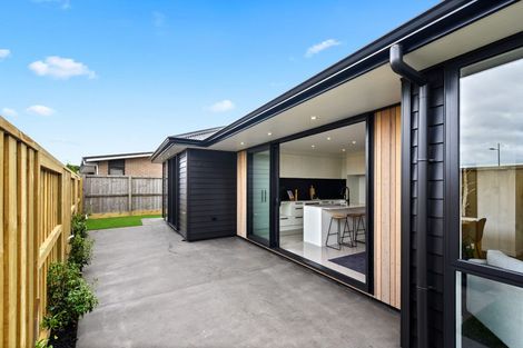 Photo of property in 20 Whakapono Avenue, Baverstock, Hamilton, 3200