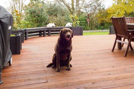 Photo of property in 1308 Rongotea Road, Kairanga, Palmerston North, 4475