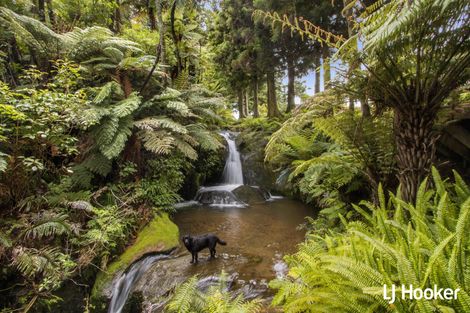 Photo of property in 115 Ngatitangata Road, Waihi, 3681