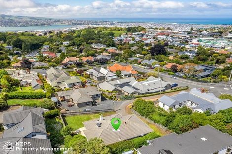 Photo of property in 10 Napier Street, Belleknowes, Dunedin, 9011
