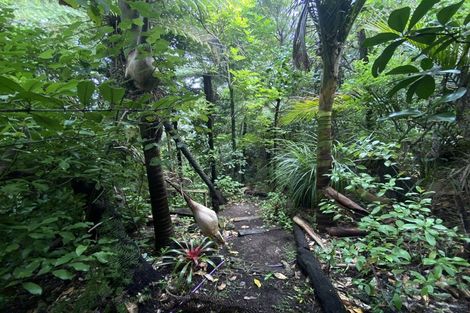 Photo of property in 530 Thames Coast Sh25 Road, Te Puru, Thames, 3575