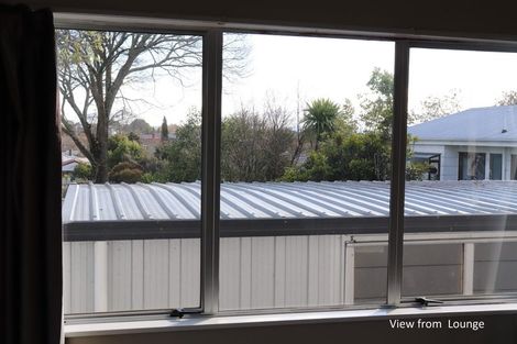 Photo of property in 30b Rata Street, Maeroa, Hamilton, 3200