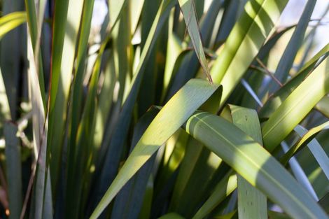 Photo of property in Drummond Street, Eketahuna, 4900