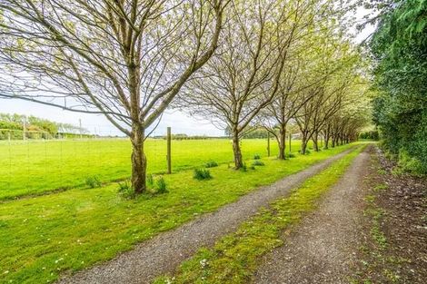 Photo of property in 644 Ryal Bush Wallacetown Road, Wallacetown, Invercargill, 9874