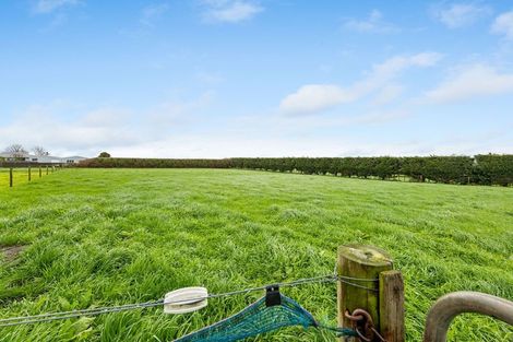 Photo of property in 170 Katene Road, Normanby, Hawera, 4675