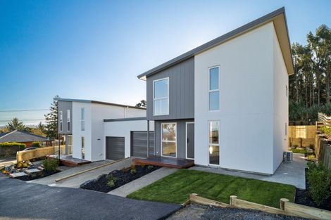 Photo of property in 49a Torquay Street, Abbotsford, Dunedin, 9018
