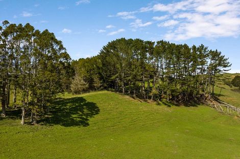 Photo of property in 360 Burnside Road, Makarau, Kaukapakapa, 0873