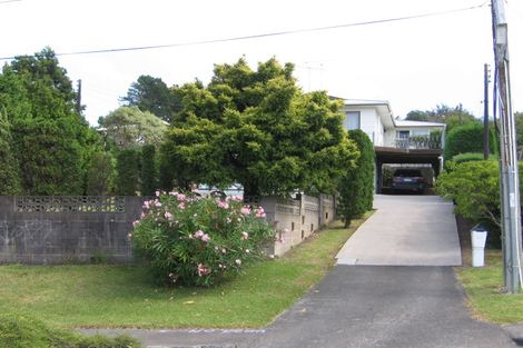 Photo of property in 107 Hendry Avenue, Hillsborough, Auckland, 1042