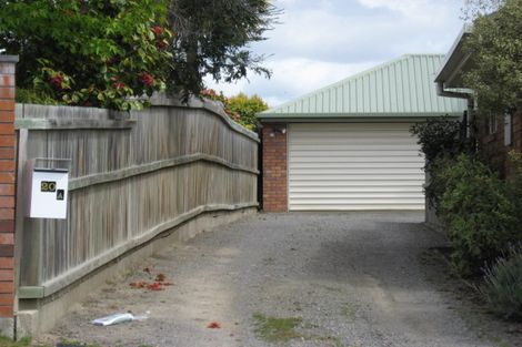 Photo of property in 20a Elisha Drive, Witherlea, Blenheim, 7201