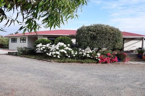 Photo of property in 31 Todds Road, Martinborough, 5711