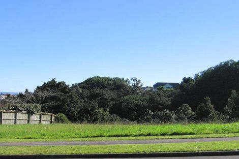 Photo of property in 13 Silkwood Grove, Totara Heights, Auckland, 2105