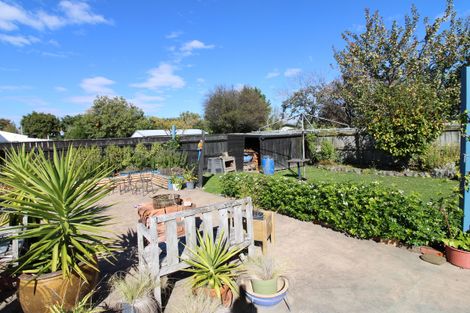 Photo of property in 21 Kent Street, Carterton, 5713