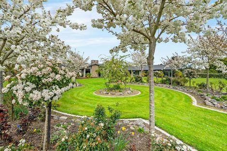 Photo of property in 20 Mcsaveneys Road, Marshland, Christchurch, 8051